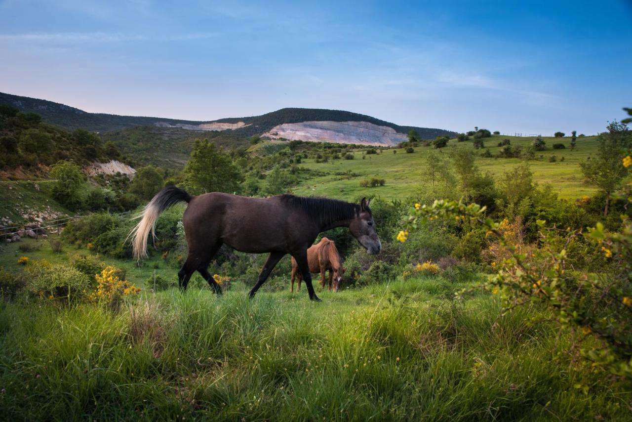 Hospedaje Rural Casa Parri Poveda de la Sierra Dış mekan fotoğraf