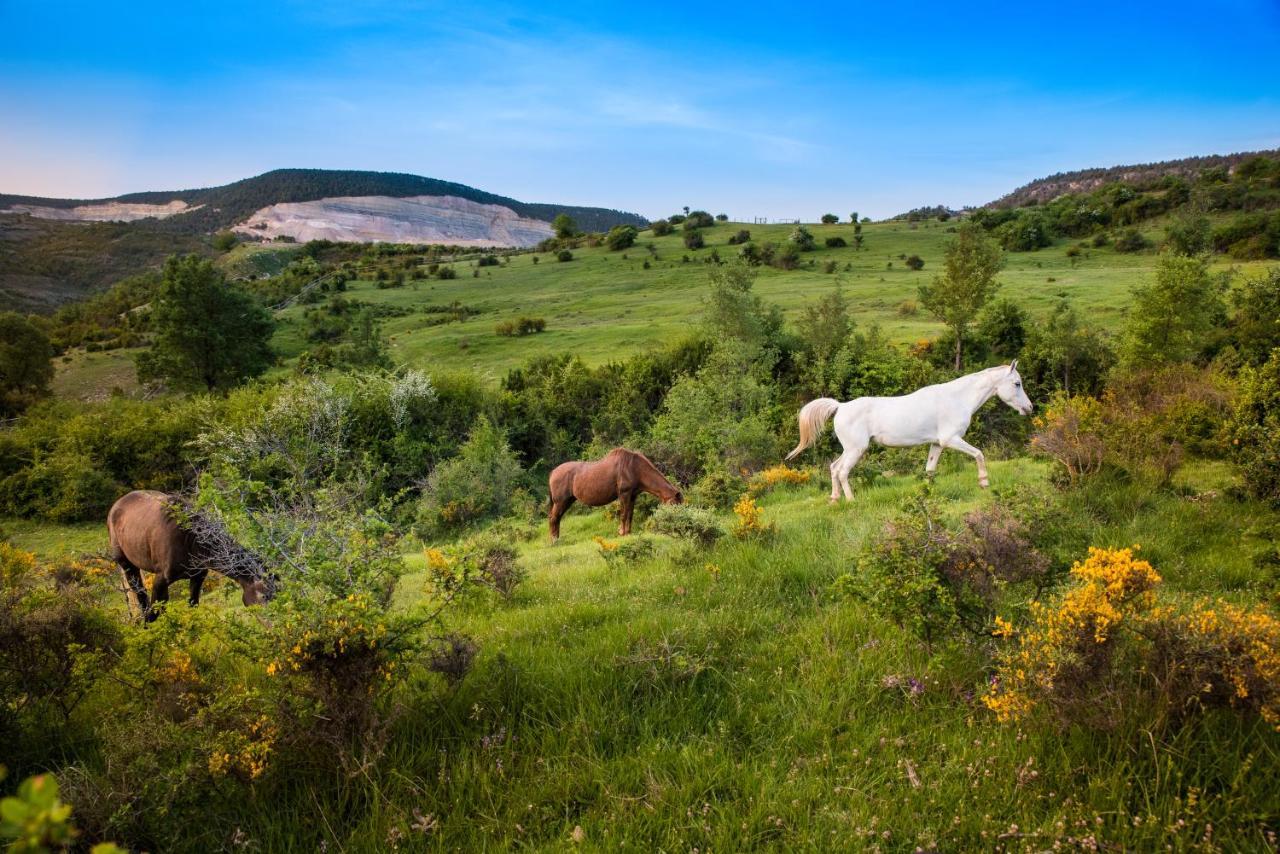 Hospedaje Rural Casa Parri Poveda de la Sierra Dış mekan fotoğraf