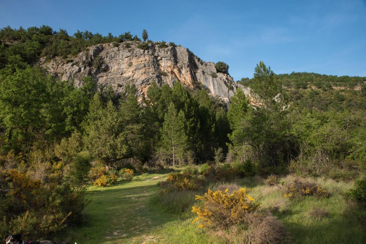 Hospedaje Rural Casa Parri Poveda de la Sierra Dış mekan fotoğraf